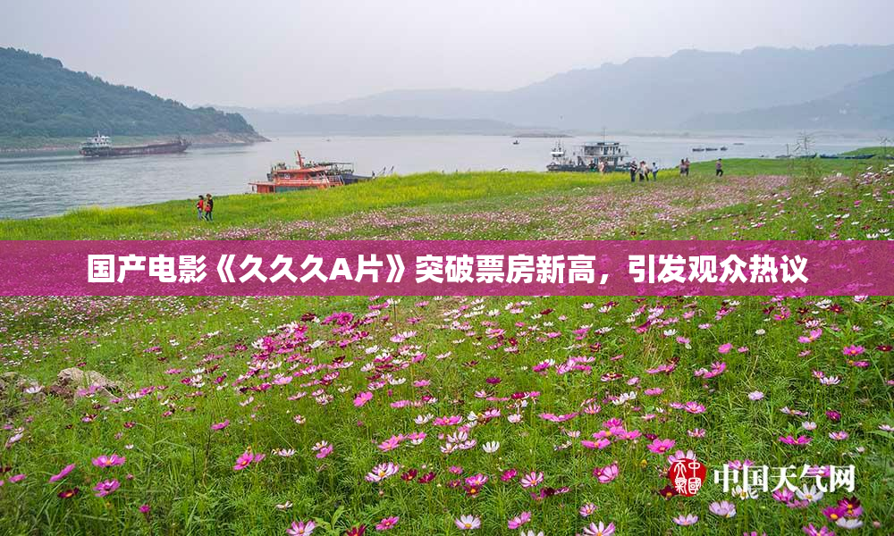 国产电影《久久久A片》突破票房新高，引发观众热议