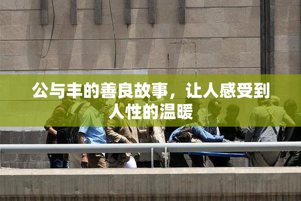 公与丰的善良故事，让人感受到人性的温暖