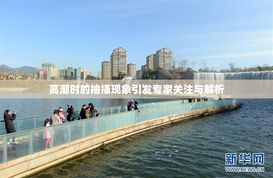 高潮时的抽搐现象引发专家关注与解析
