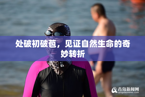 处破初破苞，见证自然生命的奇妙转折