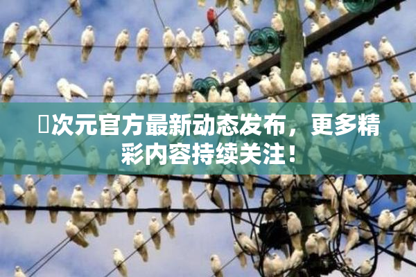 囧次元官方最新动态发布，更多精彩内容持续关注！