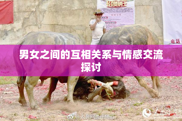 男女之间的互相关系与情感交流探讨