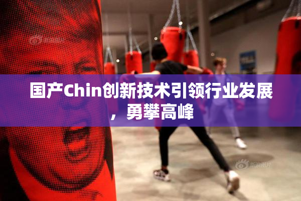 国产Chin创新技术引领行业发展，勇攀高峰