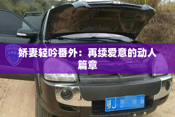 娇妻轻吟番外：再续爱意的动人篇章