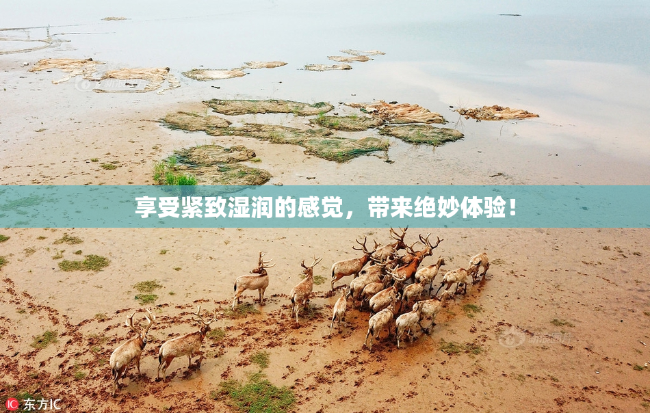 享受紧致湿润的感觉，带来绝妙体验！