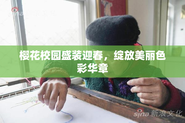 樱花校园盛装迎春，绽放美丽色彩华章