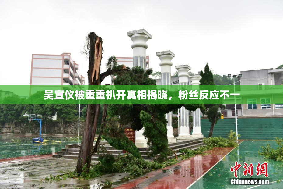 吴宣仪被重重扒开真相揭晓，粉丝反应不一