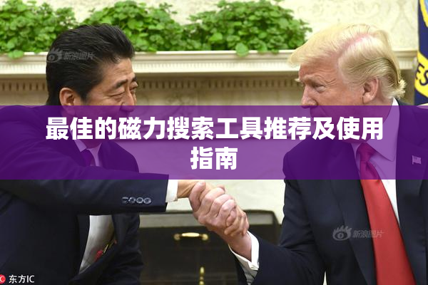最佳的磁力搜索工具推荐及使用指南