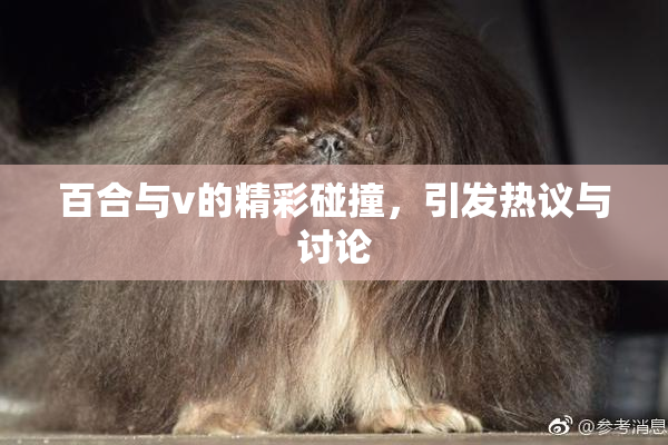 百合与v的精彩碰撞，引发热议与讨论