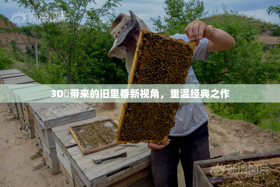 3D姉带来的旧里番新视角，重温经典之作