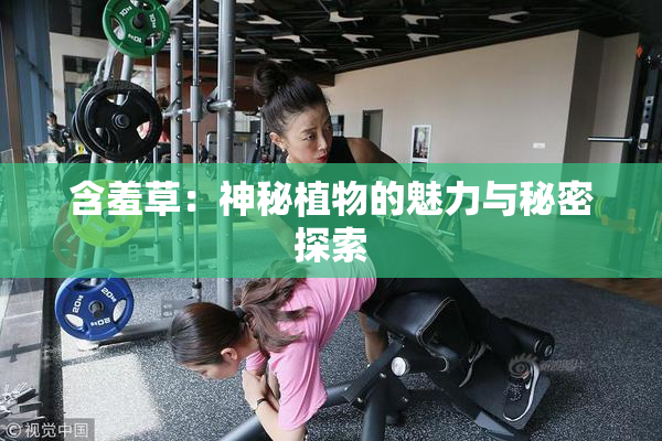 含羞草：神秘植物的魅力与秘密探索