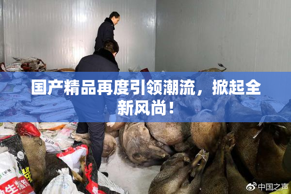 国产精品再度引领潮流，掀起全新风尚！