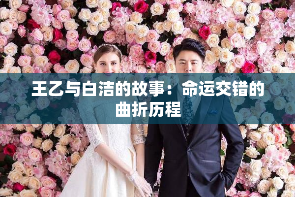 王乙与白洁的故事：命运交错的曲折历程