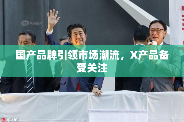 国产品牌引领市场潮流，X产品备受关注