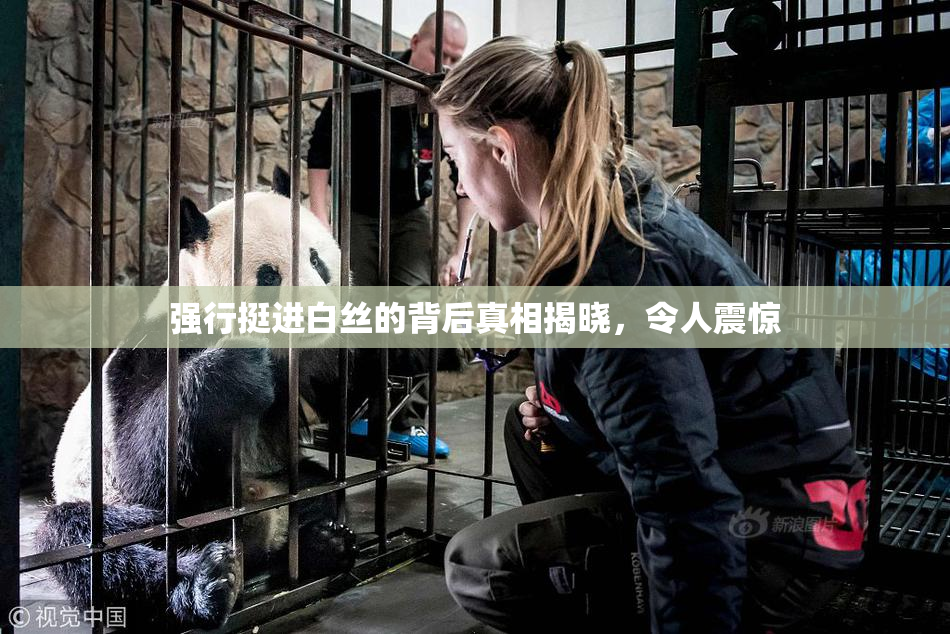 强行挺进白丝的背后真相揭晓，令人震惊