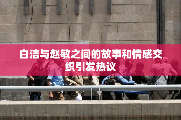 白洁与赵敏之间的故事和情感交织引发热议