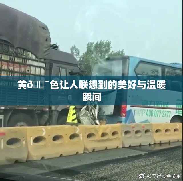 黄🔯色让人联想到的美好与温暖瞬间