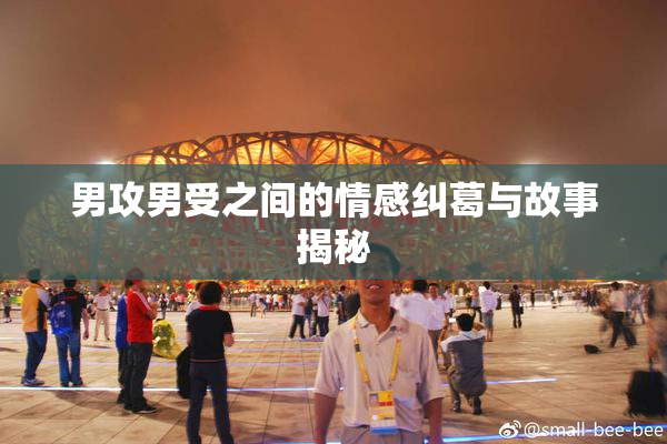 男攻男受之间的情感纠葛与故事揭秘