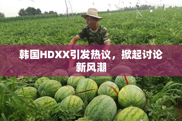 韩国HDXX引发热议，掀起讨论新风潮