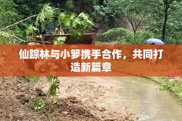 仙踪林与小箩携手合作，共同打造新篇章