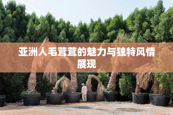 亚洲人毛茸茸的魅力与独特风情展现