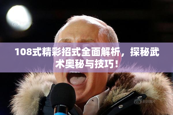 108式精彩招式全面解析，探秘武术奥秘与技巧！