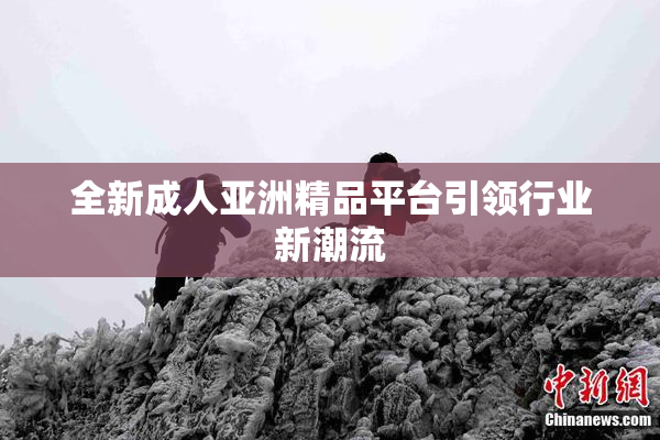 全新成人亚洲精品平台引领行业新潮流