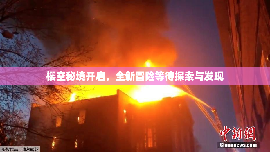 樱空秘境开启，全新冒险等待探索与发现