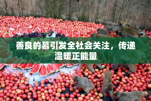 善良的慕引发全社会关注，传递温暖正能量