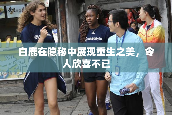 白鹿在隐秘中展现重生之美，令人欣喜不已