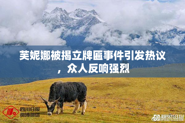 芙妮娜被揭立牌匾事件引发热议，众人反响强烈