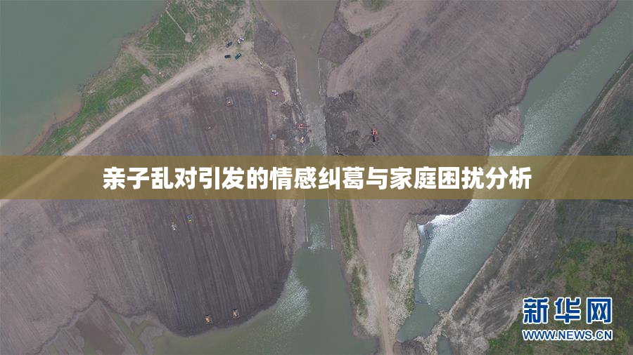 亲子乱对引发的情感纠葛与家庭困扰分析
