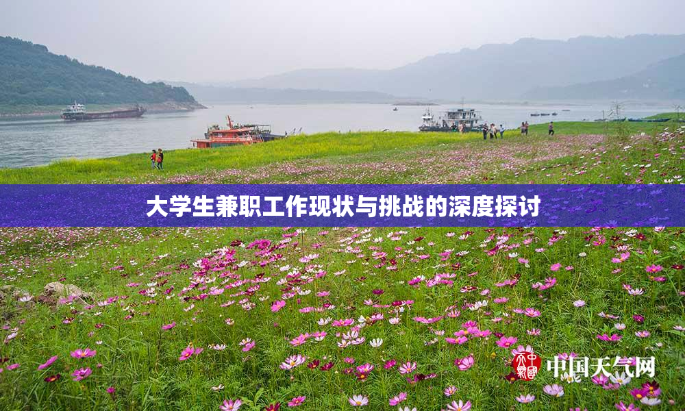 大学生兼职工作现状与挑战的深度探讨