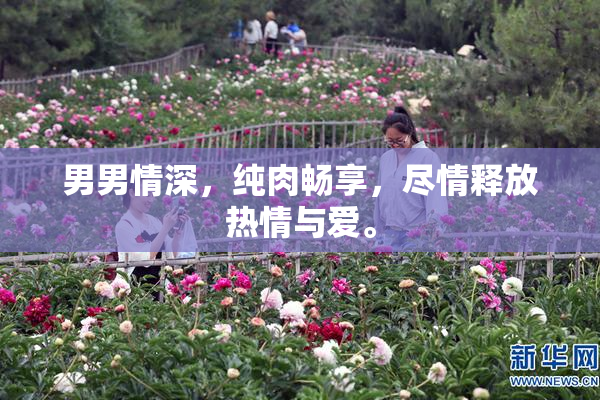 男男情深，纯肉畅享，尽情释放热情与爱。