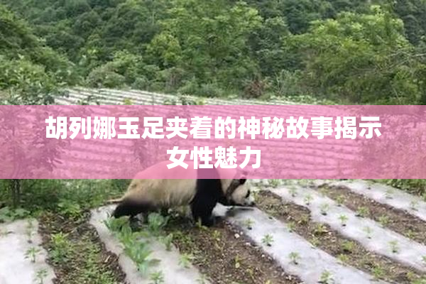 胡列娜玉足夹着的神秘故事揭示女性魅力