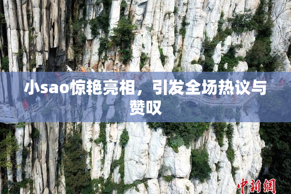 小sao惊艳亮相，引发全场热议与赞叹