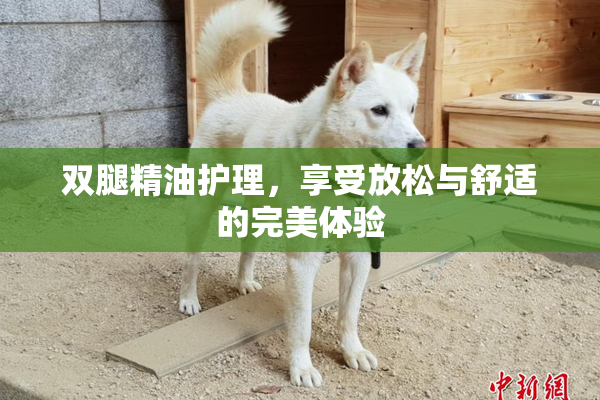 双腿精油护理，享受放松与舒适的完美体验