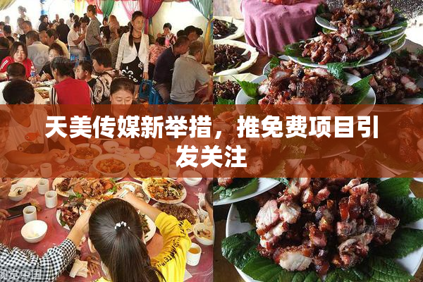天美传媒新举措，推免费项目引发关注