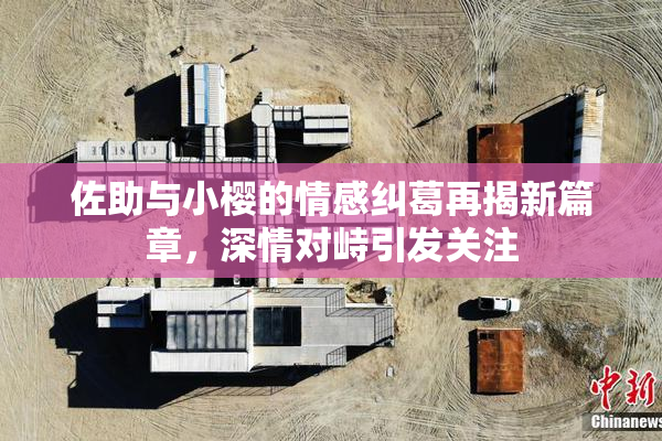 佐助与小樱的情感纠葛再揭新篇章，深情对峙引发关注