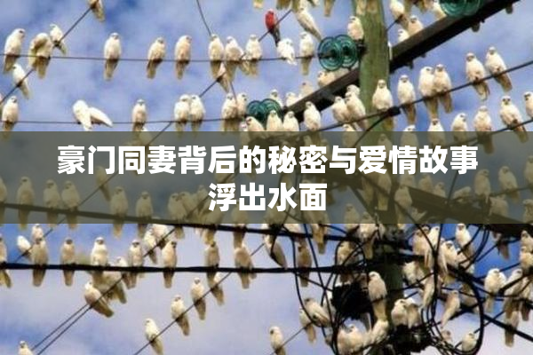 豪门同妻背后的秘密与爱情故事浮出水面