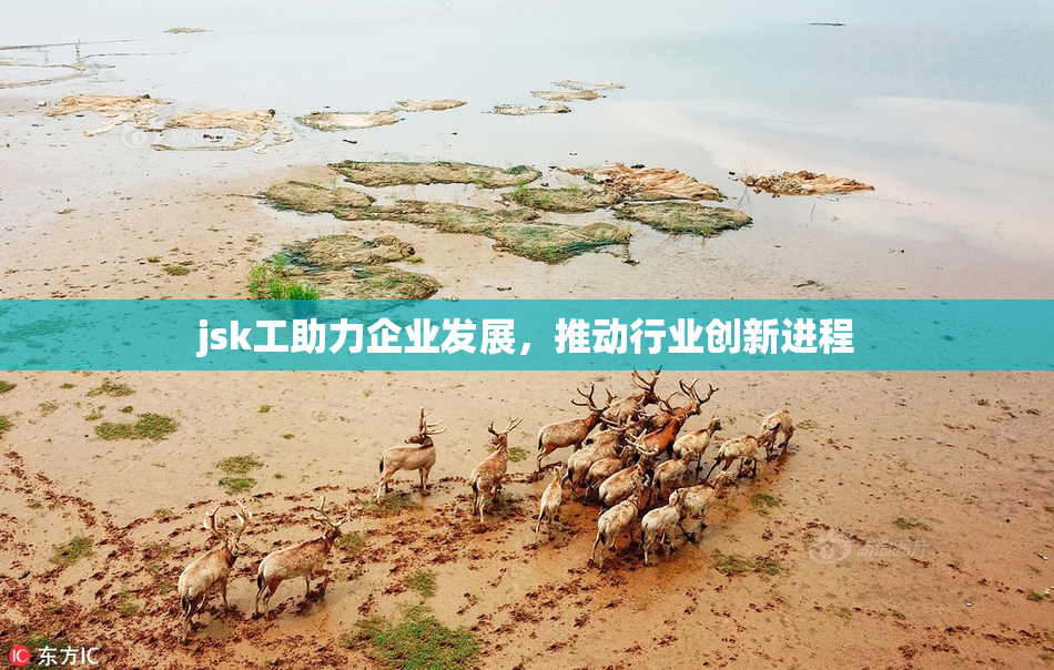 jsk工助力企业发展，推动行业创新进程