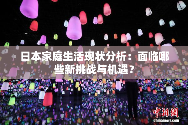 日本家庭生活现状分析：面临哪些新挑战与机遇？