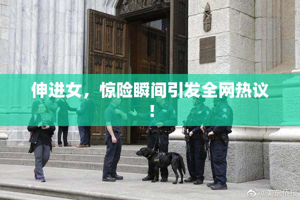 伸进女，惊险瞬间引发全网热议！