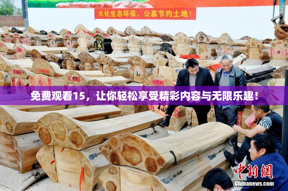 免费观看15，让你轻松享受精彩内容与无限乐趣！
