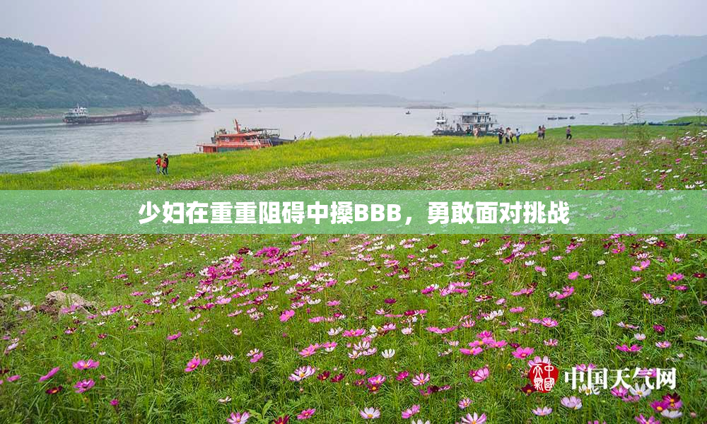 少妇在重重阻碍中搡BBB，勇敢面对挑战