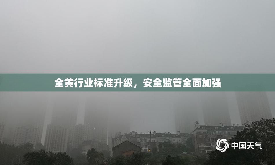 全黄行业标准升级，安全监管全面加强
