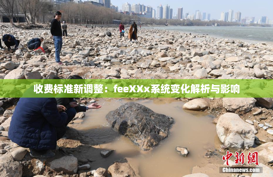 收费标准新调整：feeXXx系统变化解析与影响