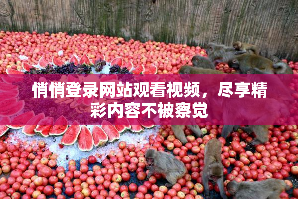 悄悄登录网站观看视频，尽享精彩内容不被察觉