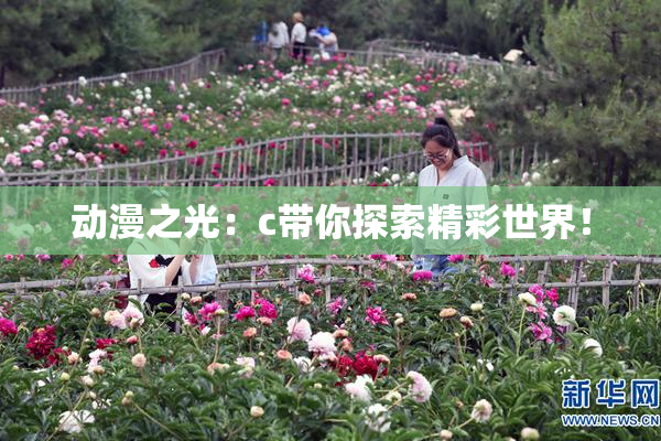 动漫之光：c带你探索精彩世界！