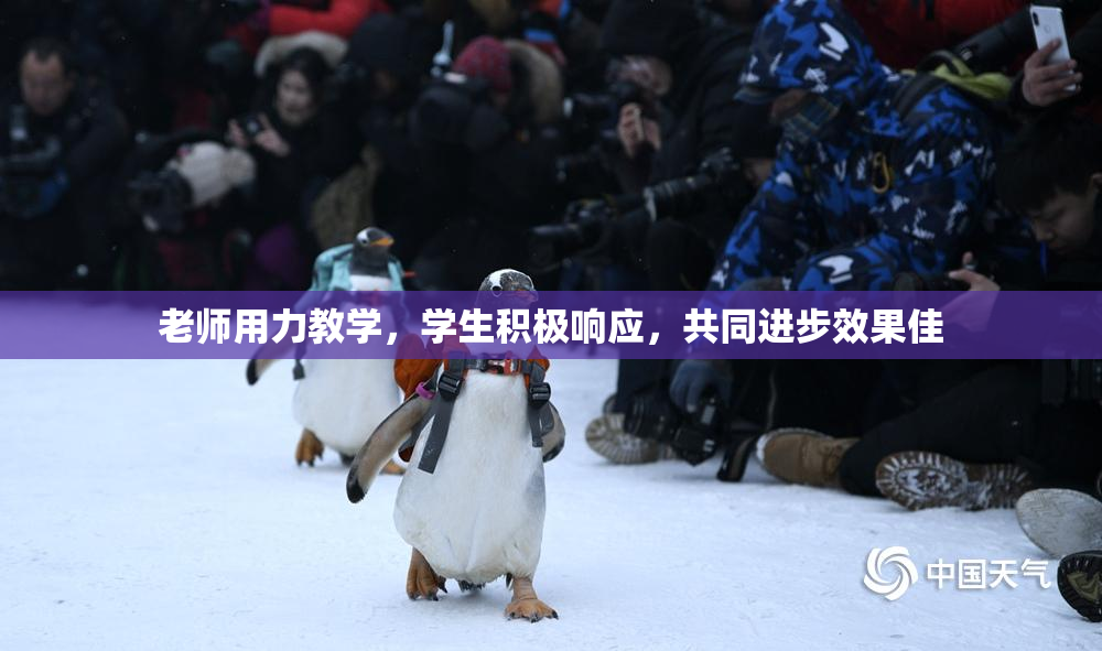 老师用力教学，学生积极响应，共同进步效果佳